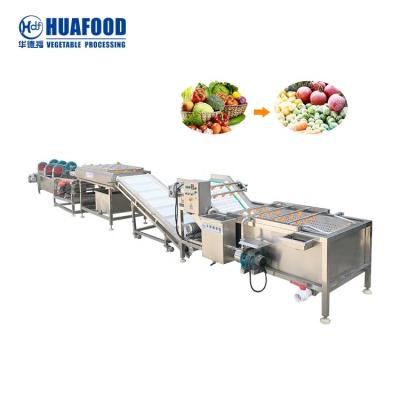 China Fruit Vegetable Washing Processing Line Salad Washing Machine Semi Auto Apple Washing Machine for sale