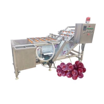 China dry fruit clean production machine/fruit and vegetable washer machine/fruit washer machine for sale