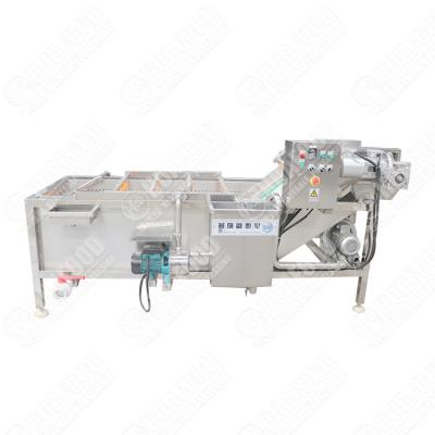 China Custom food grade washing machine melon washing machine eddy current lettuce washing machine for sale