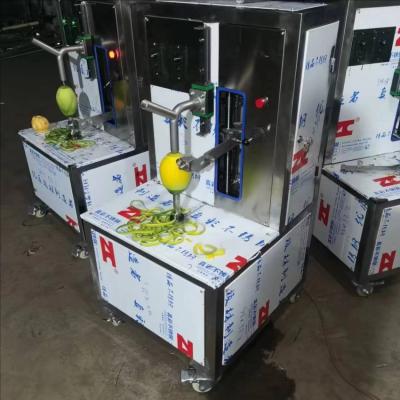 China Discounted Fruit & Vegetable Peeling Machine Fruit Vegetable Washing And Peeling Machine With CE Certificate for sale