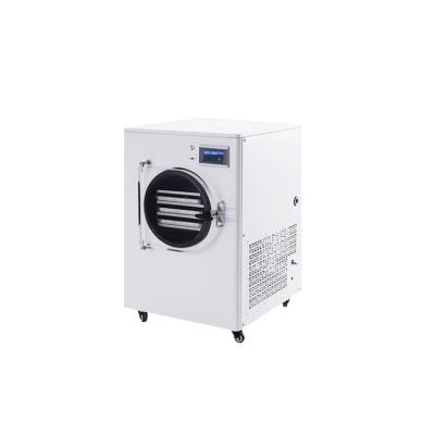 China Fully Automatic Factory Price Home Use Commercial Mini Freeze Dryer Drying Commercial for sale