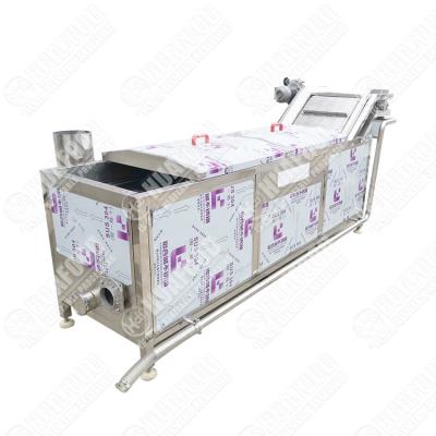 China Blanching Machine Automatic Vegetable Steam blanch Machine Fruit And Vegetable Blanching Machine for sale