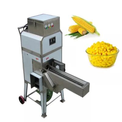 China vegetable fruit freeze drying machine Vacuum freeze-drying machine fruit and vegetable freeze-drying machine for sale