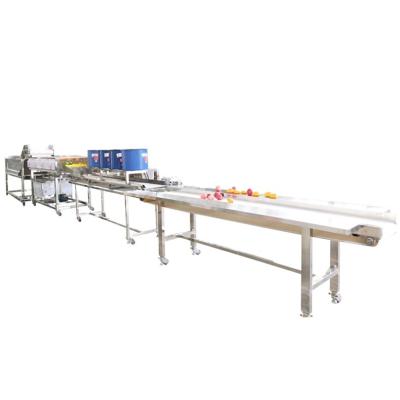 China Industrial potato Bubble spray washing vegetable fruit cleaning washing line Dates Washing Drying Machine for sale