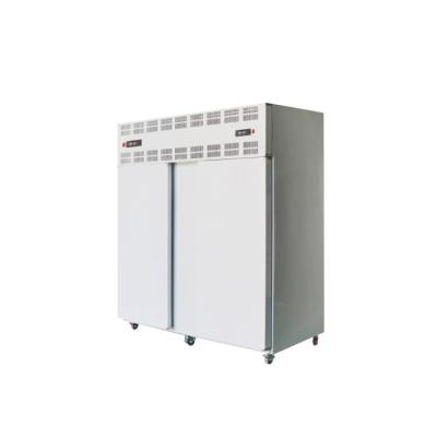 China Professional Blast Freezer Container Plate Blast Freezer With High Quality for sale