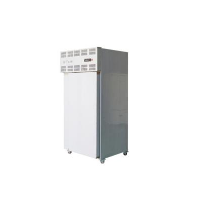 China Multifunctional Blast Freezer Chicken Commercial Freezer With Low Price for sale