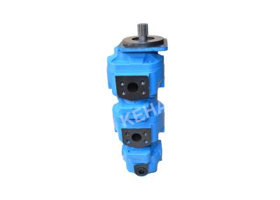 China Iron Aluminum Ss  Gear Pump KLD80Z B0319141071 PA1911Q3B26A Option for sale