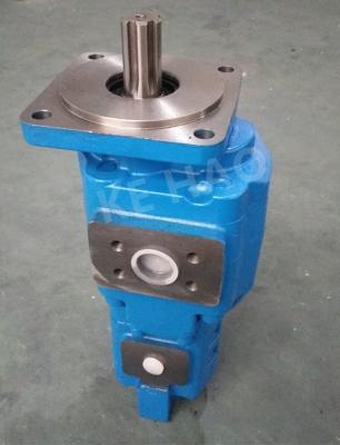 China Durable Commercial Shearing Hydraulic Gear Pump Agricultural Machinery for sale