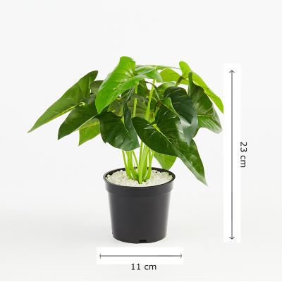 China Minimalist PRIMAISON Monstera Artificial Greenery Potted Plants Faux Plants With Gray Plastic Pot For Indoor Outdoor Decoration for sale