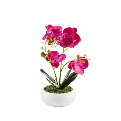 China PRIMAISON Minimalist Artificial Phalaenopsis Orchid With Table Ceramic White Home Decor Vase Plant Pot Plastic Arrangements for sale