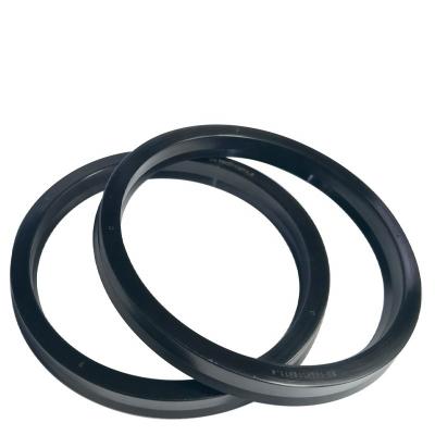 China BA Type Dual Function Hydraulic Cylinder Piston Rod Seal Hole Pin Piston Combination Seal Ring for sale