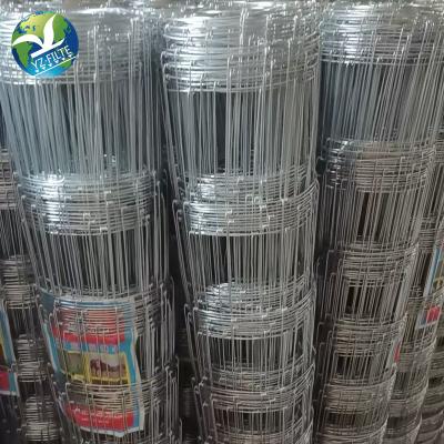 China Easily Assembled Galvanized Welded Wire Mesh Garden Economy Fence 36