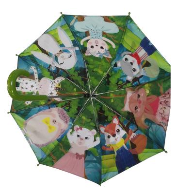 China Morden 19 Inch Luxury Double Layer Automatic Open Umbrella With Heat Transfer Printing Kids Umbrella for sale