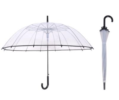 China PVC EVA upright transparent umbrella automatic hanging POE rain umbrella customized printing kids umbrella for sale