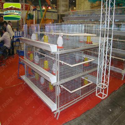 China High Corrosion Resistance Best Selling Hot Decorative Layer Metal Cage Chicken Cage Automatic Battery Cage System In Poultry for sale