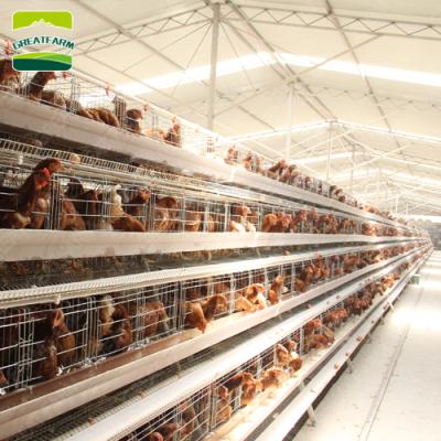 China Farm Large Farm Chicken Breeding Cage Chicken Battery Cage One Type Layer Chicken Cage For Bangladesh for sale