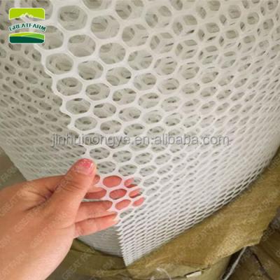 China Farms BIG FARM pe material corrosion resistance plastic mesh flooring for chicken for sale