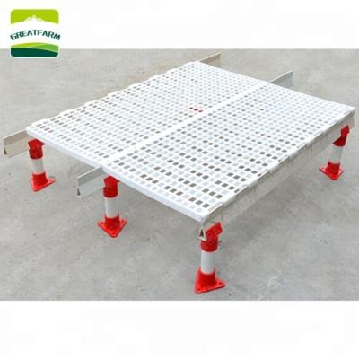 China Plastic chicken poultry floor slat and plastic chicken floor for grating for sale