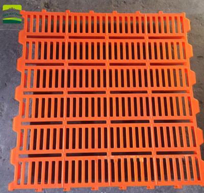 China Pig flooring agriculture equipment/plastic poultry farms/plastic goats sheep chicken slat flooring for sale