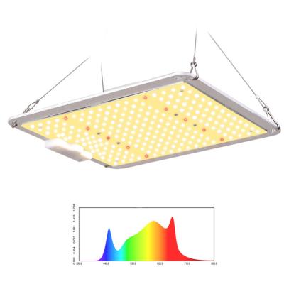 China Seed Starting Seed Starting DLC ​​ETL Listed Type PPF 110W 220W 330W 450W 600W Full Spectrum Indoor Medical Led Bar Grow Light for sale