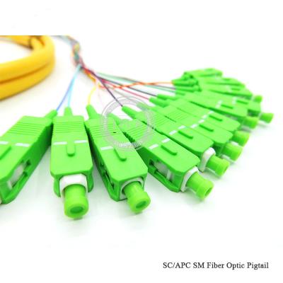 China SC APC Pigtail 12 Cores 12F 1.5M Single Mode For Optical Fiber CATV / LAN for sale