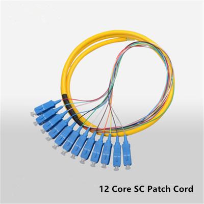 China High Performance Fiber Optic Pigtail Cable Single Mode SC UPC 12 Core Pigtail for sale