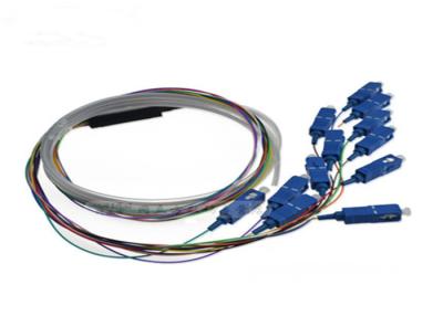 China Indoor 12 Core SC UPC Pigtail 1.5m With Splitter SC UPC Connector 0.9mm for sale