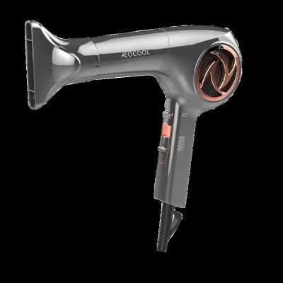 China 2023 Hot Sale Ionic TONY Korea BLDC Motor Perfect Professional Salon Hair Dryer With High Temperature for sale