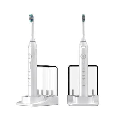 China Multi Speed ​​Operation IPX4+IPX7 Multifunctional Adult Electric Toothbrush Sonic Toothbrush for sale