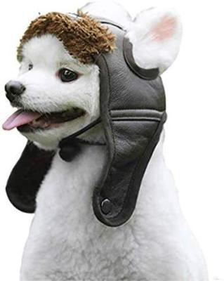 China 2022 Factory Wholesale New Designer Winter Warm Fashion Outdoorlarge Stocked Adjustable Dog Hat for sale