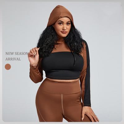 China Breathable Plus Size Women Yoga Wear Long Sleeve Hoodie And Pants Two Piece Sets for sale