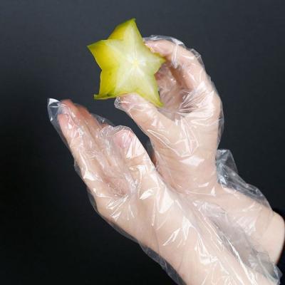 China Best Selling Plastic Disposable Hand Glove Multifunctional Cleaning Plastic Disposable Gloves Disposable for sale