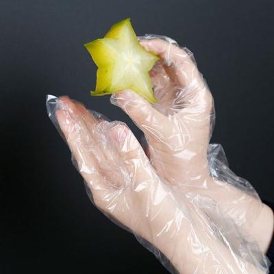 China Low price good quality disposable plastic hand glove transparent dustproof disposable gloves for sale