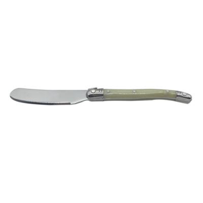 China Sustainable Stainless Steel Butter Knife , Cheese Spreader With Plastic Handle for sale