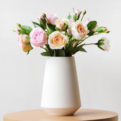 China Modern Stylish Matte White Color Plain Ceramic Vase For Dry Flower Vase for sale