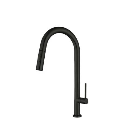 China Modern Black Pull Out Cold Kitchen Sink Spout Head Long Mixer Tap Faucet For Kitchen Sink for sale