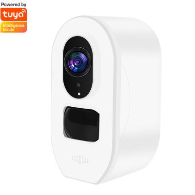 China Tuya Smart Factory 1080P CCTV IP Camera H.265 Night Vision Remote View Wifi Solar Panel Battery Wireless Camera 2021 Human Motion Tracking for sale