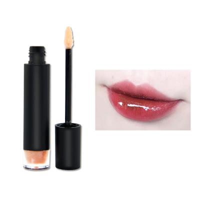 China Waterproof Natural Lip Annotate Plumper Lip Enhancer Moisture Care Private Label Hydrated Lip Plumper for sale