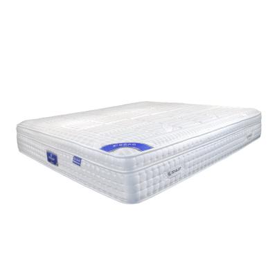 China Factory Manufacturer Direct Mattress Bed Independent Box Spring King Size Hypoallergenic for sale