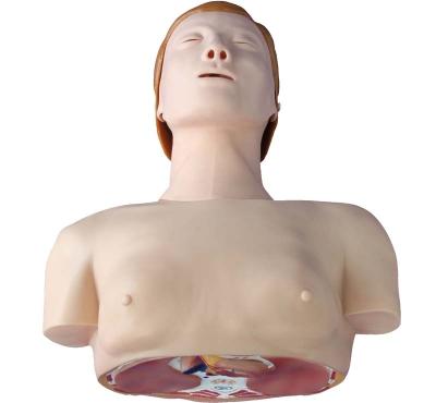 China CPR Basic Model Training CPR Artificial Respiration Training Model Half Manikin Basic Body for sale