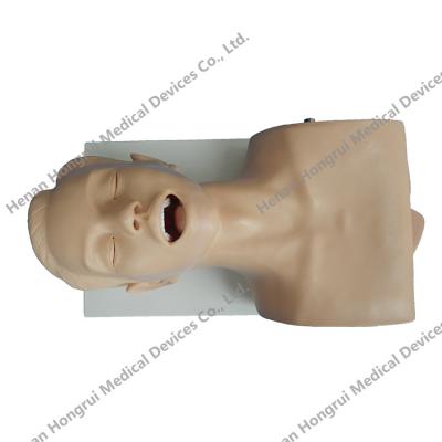 China Tracheal Intubation Simulator Teaching Model, Medical Intubation School Manikin for sale