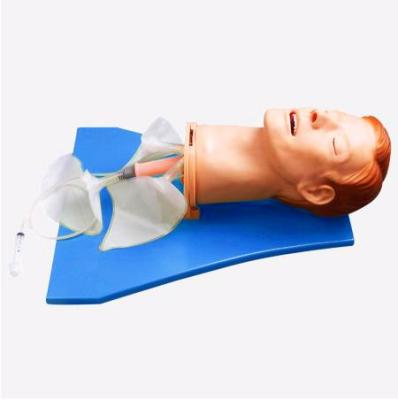 China Multifunction Medical School Medical Science Airway Management Model&Tracheal Intubation Manikin for sale