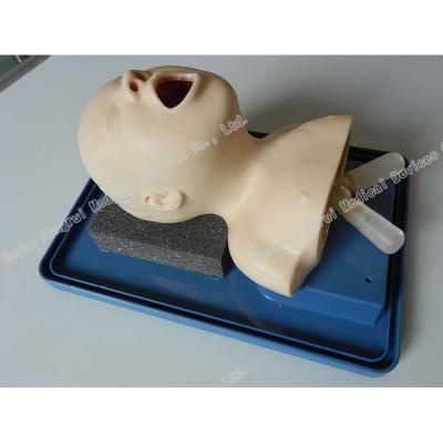 China School Model Neonate Intubation Training Teaching Manikin, Newborn Intubation for sale