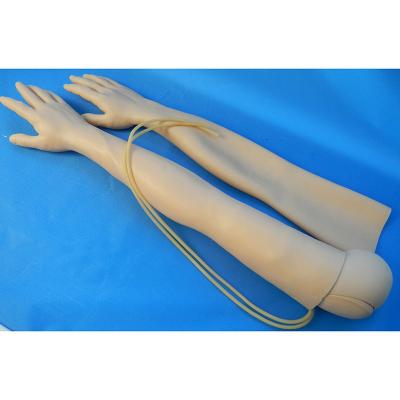 China School Model Medical Muti-function IV Training Teaching Arm for sale