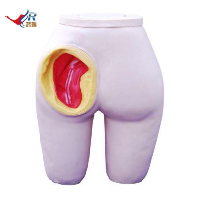 China Hip Intramuscular Injection Simulator Model Medical Hip Intramuscular Injection Simulator Training Anatomy Model for sale