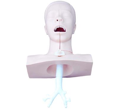 China Sputum Suction Training Simulator Model Medical Educational Human Sputum Suction Skills Training Simulator Nursing Model for sale