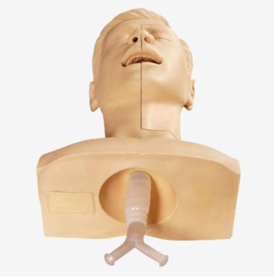 China School model Nursing teaching manikin for sputum aspiration through nasal cavity and oral cavity, training suction manikin for sale