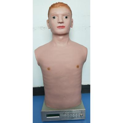 China LCD Screen Cardiopulmonary Ausculation Training Manikin, Physical Examination Manikin, Auscultation Model for sale