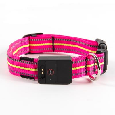 China Jhome Pet RTS Flashing Light Safety Training Dog Collar USB LED Reflective Waterproof Rechargeable Adjustable Luxury Custom for sale