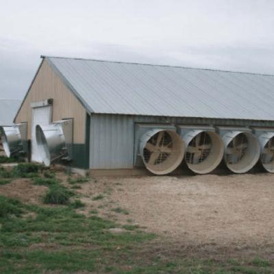 China Prefab Lightweight Shop Steel Structure Broiler Poultry House For 10000 Chickens for sale